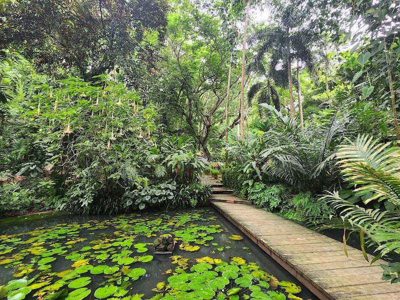 Photo 6 at Garden of the Sleeping Giant in Nadi