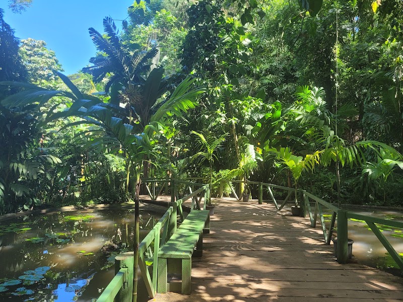 Garden of the Sleeping Giant in Nadi