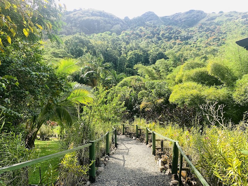 Photo 2 at Garden of the Sleeping Giant in Nadi