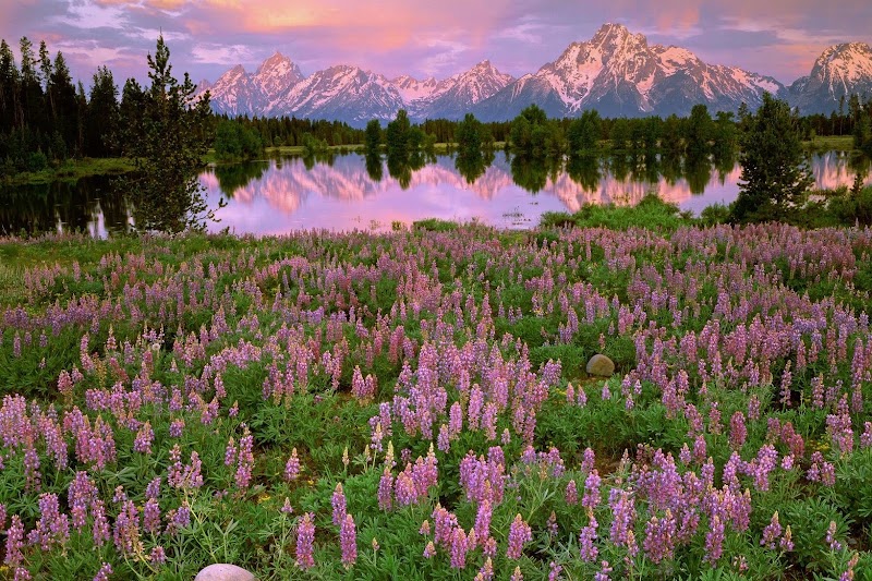 Photo 4 at Grand Teton National Park in 