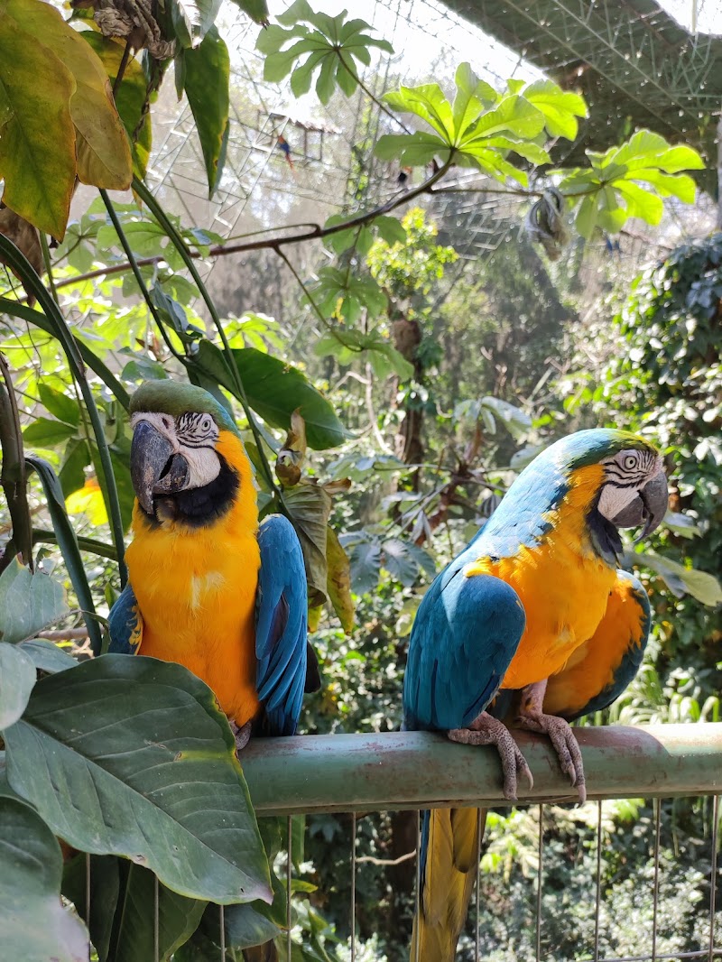 Biocentro Guembe Mariposario in Santa Cruz de la Sierra