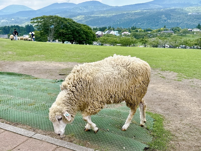 Photo 6 at Takachiho Farm in Miyakonojo