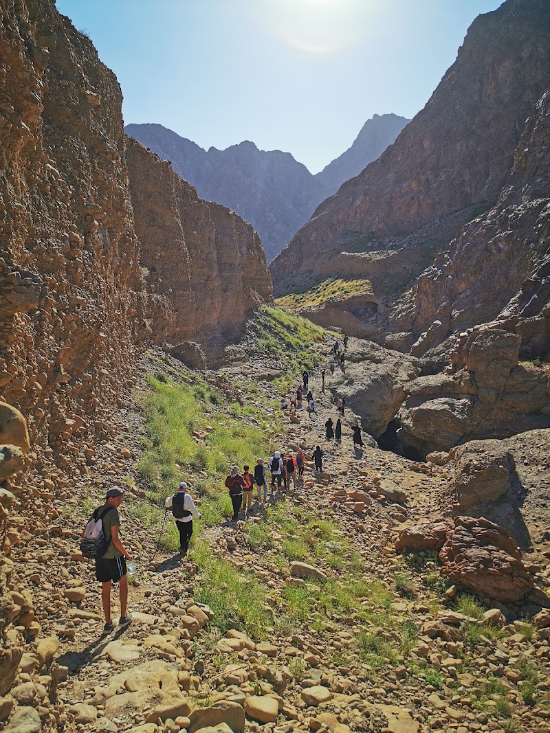 Photo 4 at Wadi Wurayah Biosphere Reserve محمية وادي الوريعة in الفجيرة