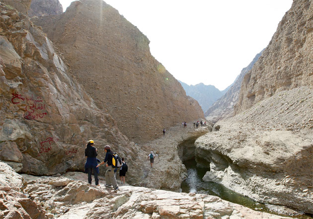 Photo 3 at Wadi Wurayah Biosphere Reserve محمية وادي الوريعة in الفجيرة