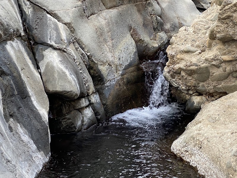 Photo 5 at Wadi Wurayah Biosphere Reserve محمية وادي الوريعة in الفجيرة