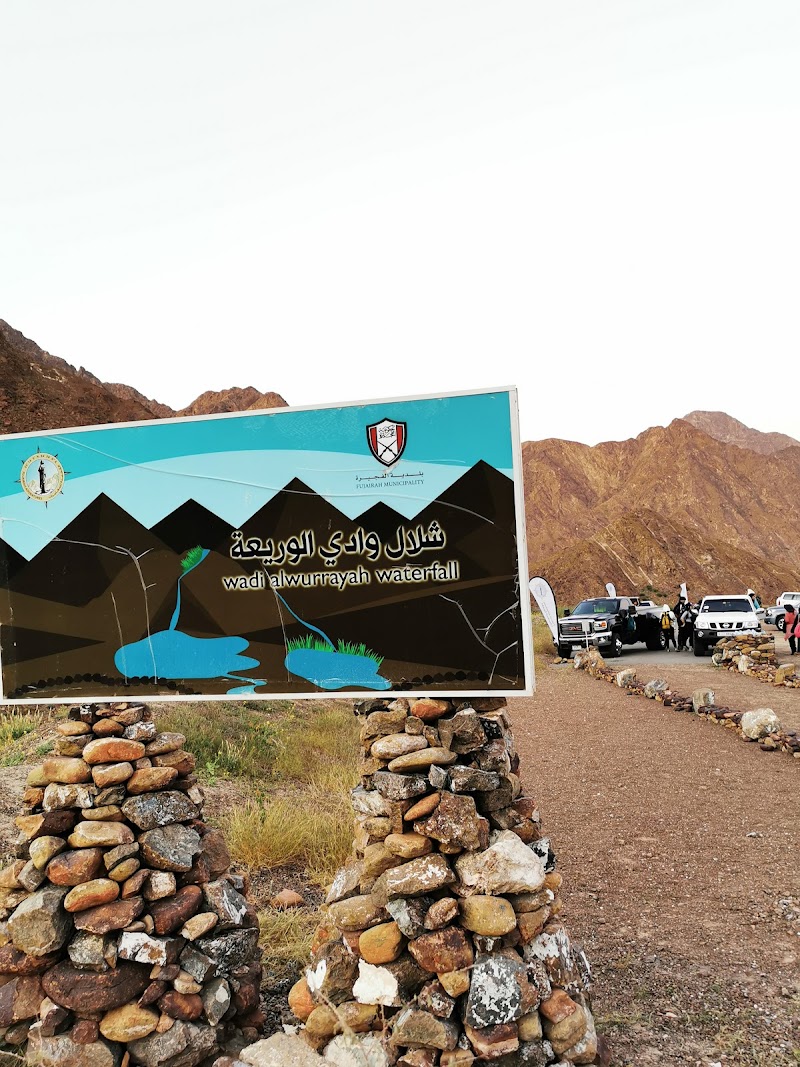 Photo 6 at Wadi Wurayah Biosphere Reserve محمية وادي الوريعة in الفجيرة