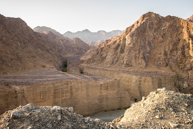 Photo 2 at Wadi Wurayah Biosphere Reserve محمية وادي الوريعة in الفجيرة