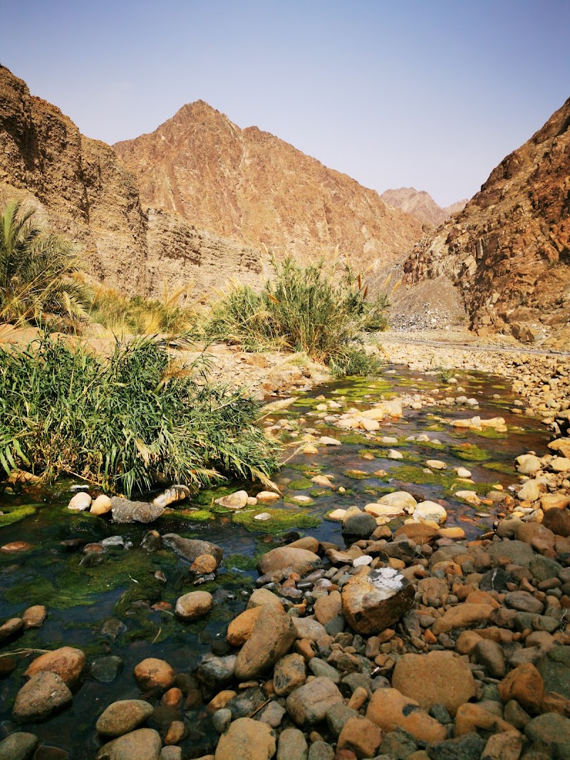 Photo 1 at Wadi Wurayah Biosphere Reserve محمية وادي الوريعة in الفجيرة