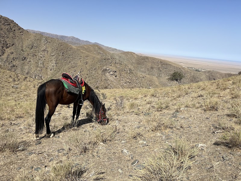 Photo 5 at Nuratau Travel – Uzbekistan Hiking & Adventure Tours in Bog'don
