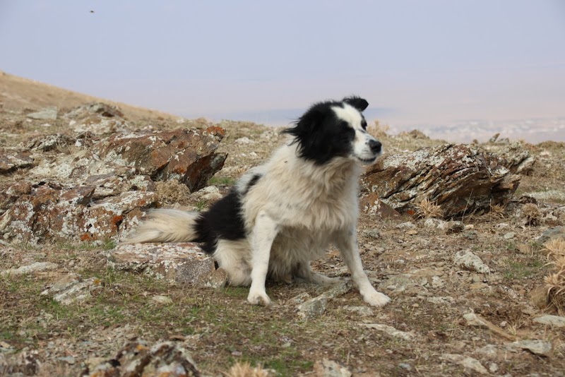 Photo 4 at Nuratau Travel – Uzbekistan Hiking & Adventure Tours in Bog'don