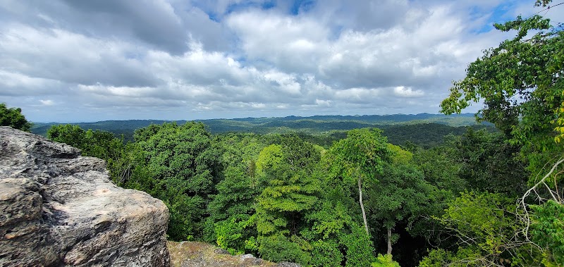 Photo 5 at Caracol Natural Monument Reservation in Chiquibil Forest Reserve