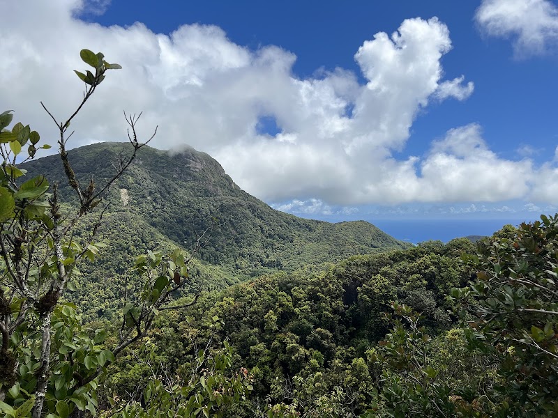 Photo 5 at Morne Blanc Nature Trail in 