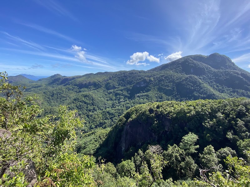Photo 4 at Morne Blanc Nature Trail in 