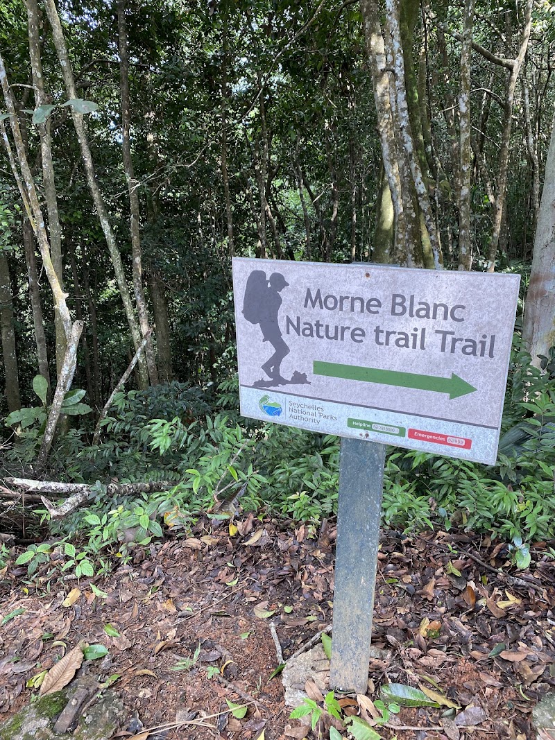 Photo 6 at Morne Blanc Nature Trail in 