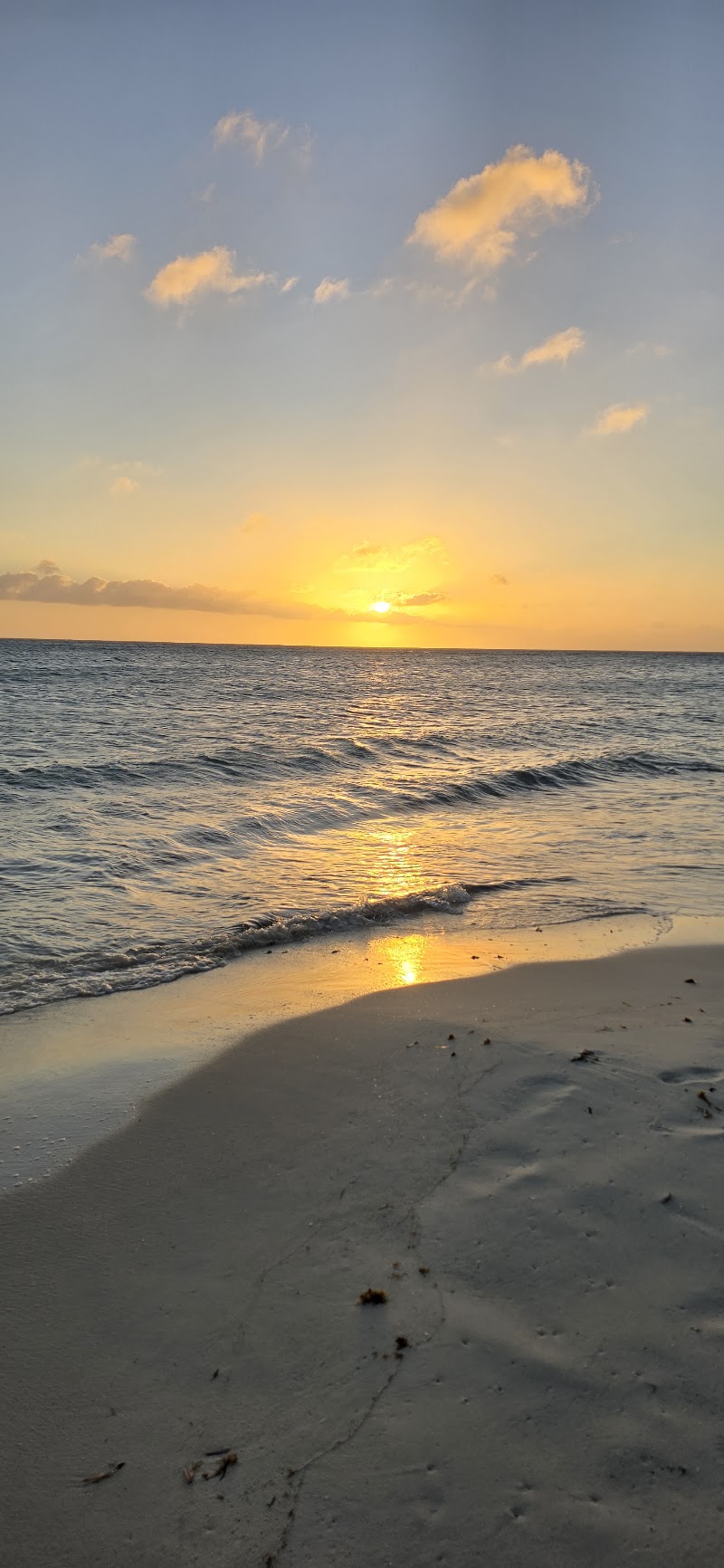 Photo 4 at Druif Beach in Oranjestad