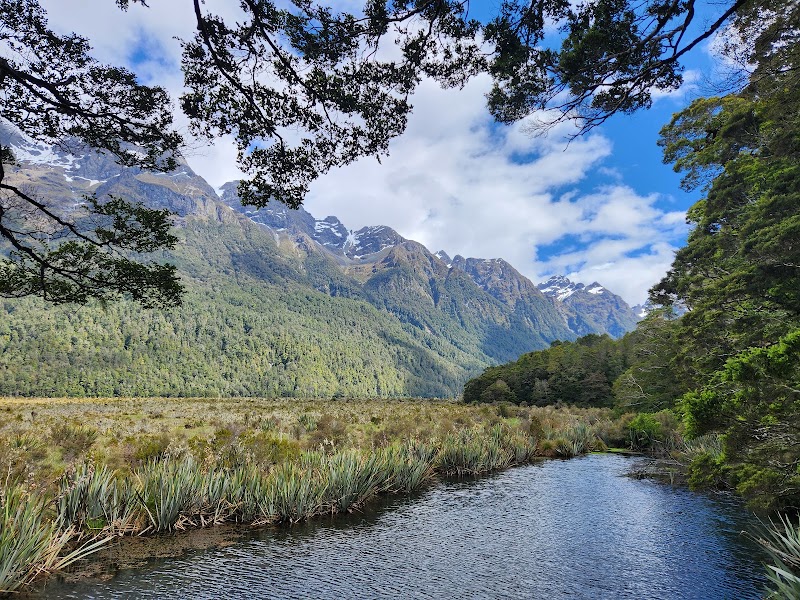 Photo 4 at Fiordland National Park in 