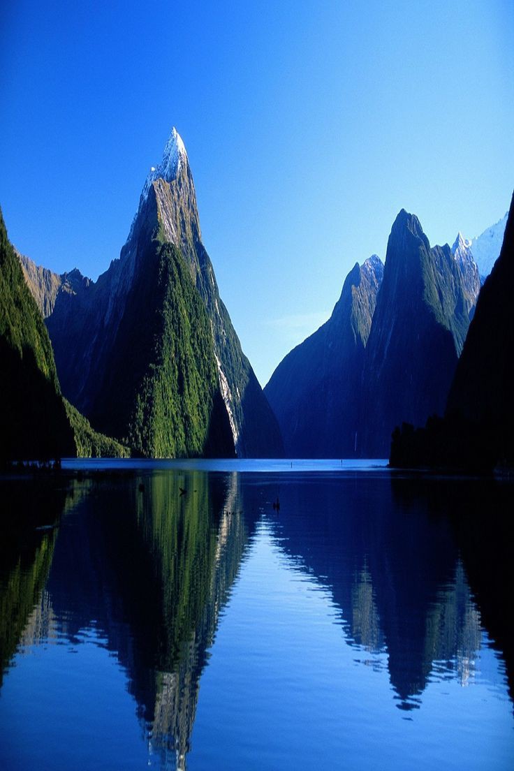 Photo 5 at Fiordland National Park in 