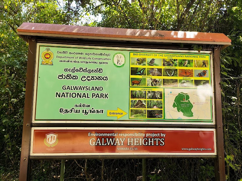 Photo 1 at Gallway's Land National Park in නුවරඑළිය