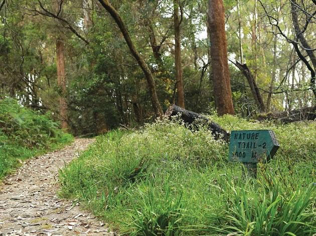 Photo 2 at Gallway's Land National Park in නුවරඑළිය