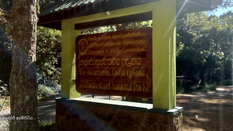 Gallway's Land National Park in නුවරඑළිය