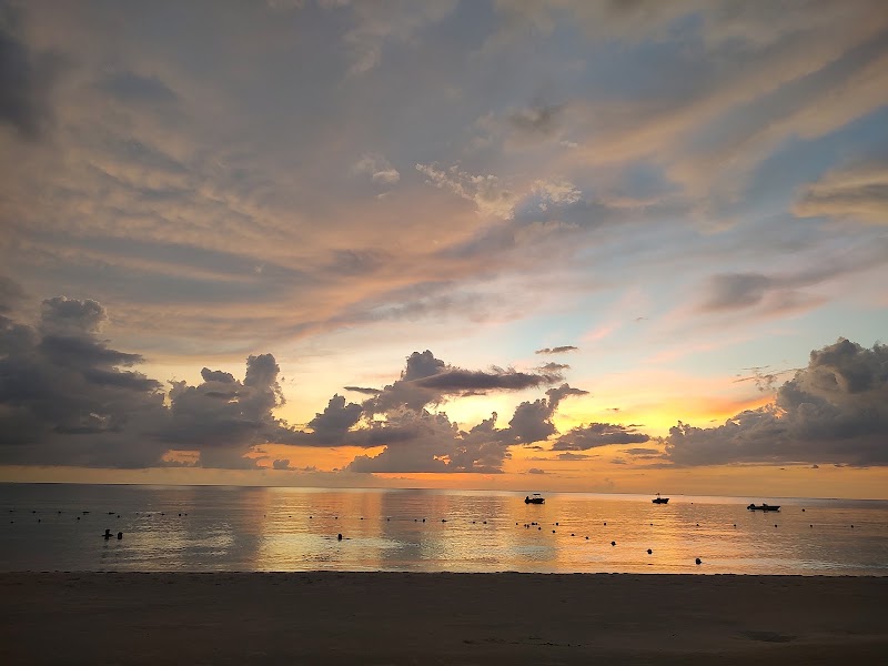 Photo 4 at 7 Mile Beach, Negril Jamaica in Negril