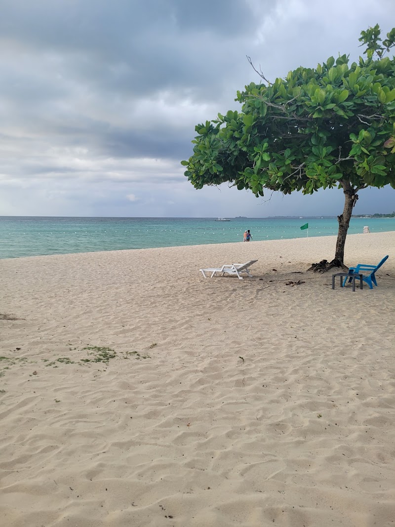 Photo 5 at 7 Mile Beach, Negril Jamaica in Negril