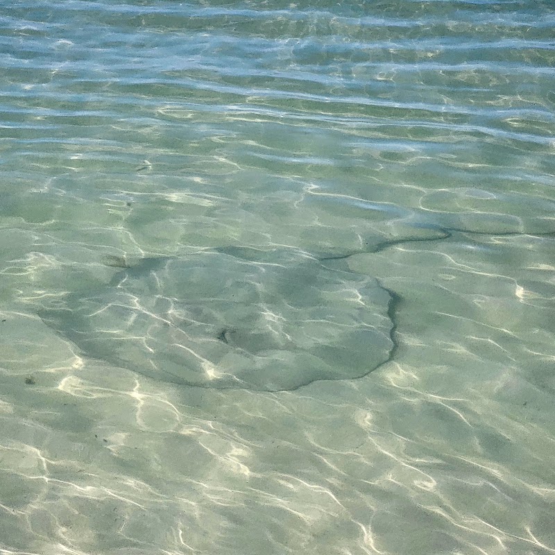 Photo 1 at 7 Mile Beach, Negril Jamaica in Negril
