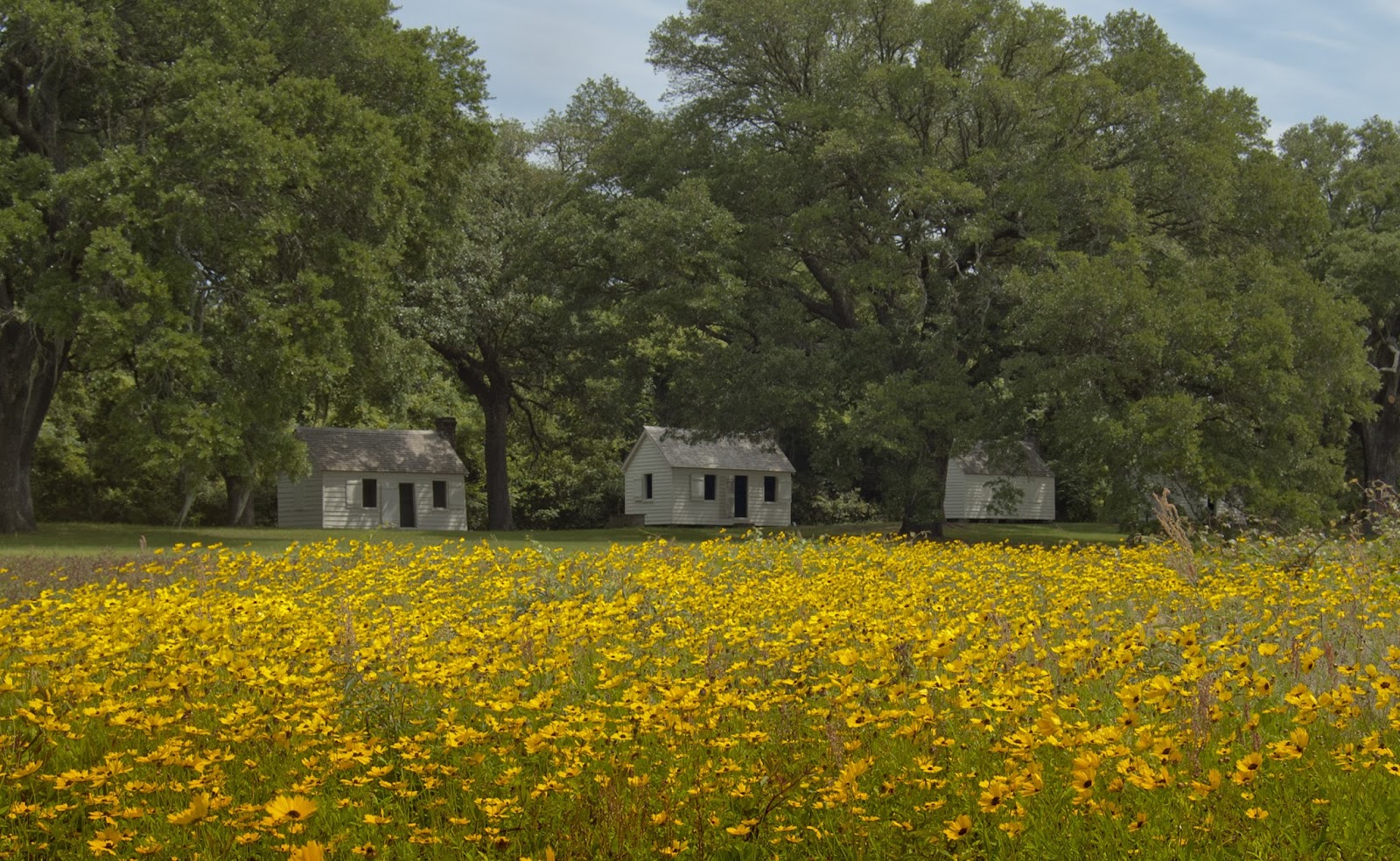 McLeod Plantation Historic Site in Charleston
