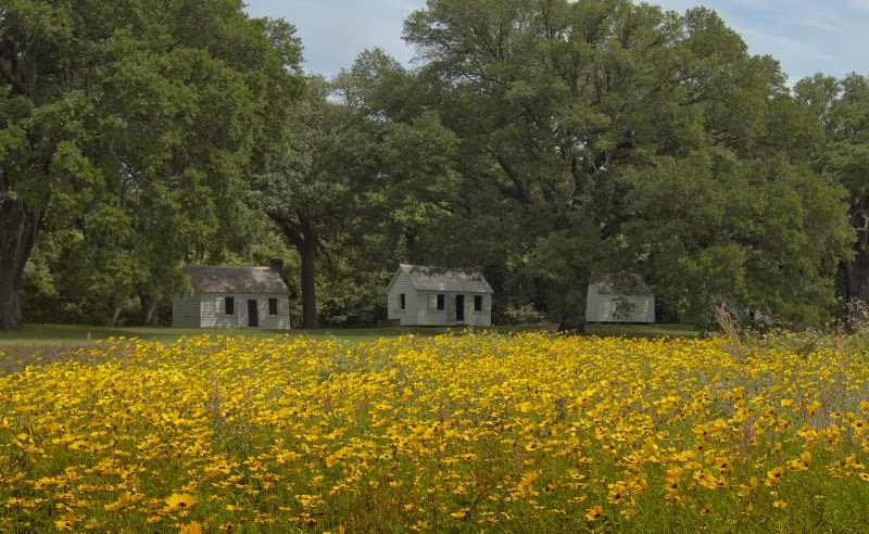 McLeod Plantation Historic Site in Charleston