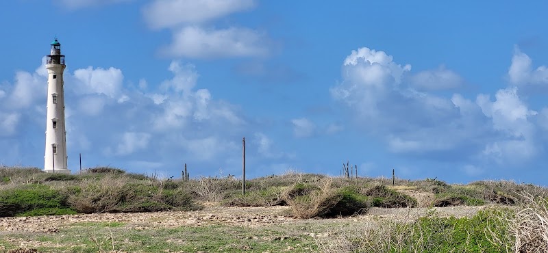 Photo 4 at California Lighthouse in Noord