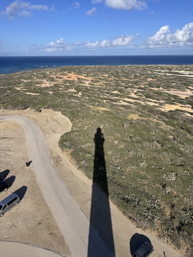 Photo 2 at California Lighthouse in Noord