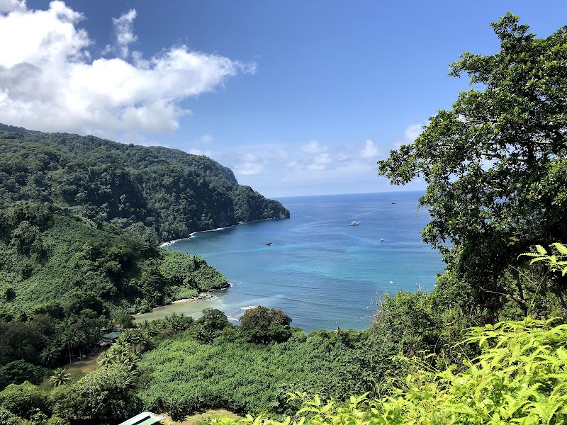 Photo 4 at Cocos Island National Park Costa Rica in 