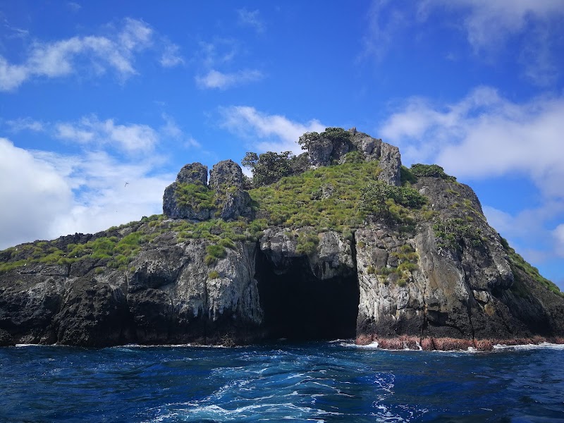 Photo 2 at Cocos Island National Park Costa Rica in 