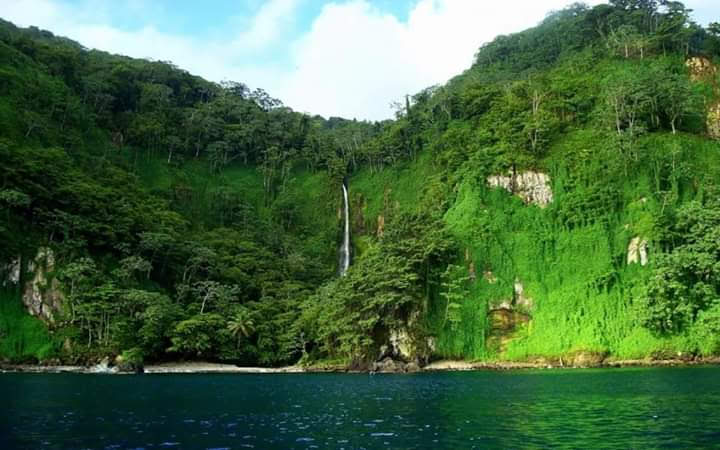 Photo 1 at Cocos Island National Park Costa Rica in 