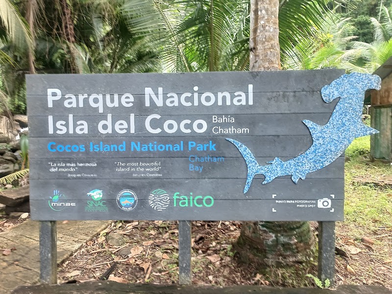 Photo 6 at Cocos Island National Park Costa Rica in 