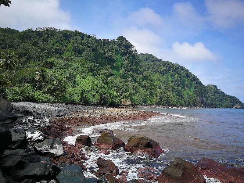 Photo 3 at Cocos Island National Park Costa Rica in 