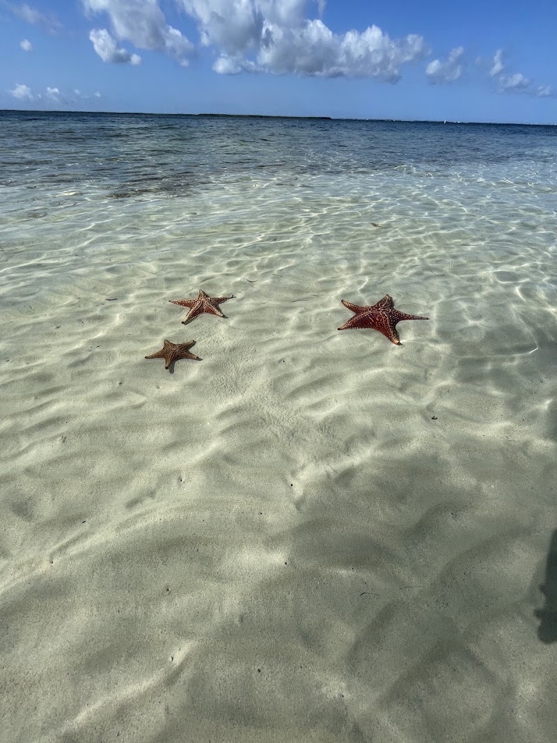 Photo 4 at Starfish Point in Rum Point