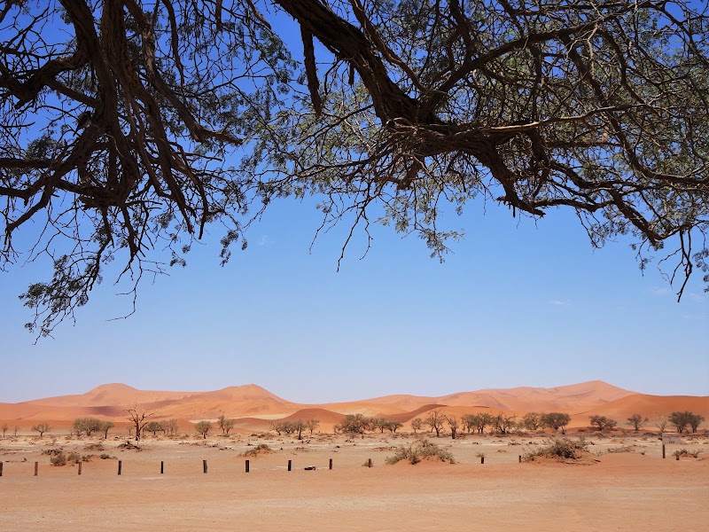 Photo 2 at Sossusvlei OFFICIAL World UNESCO Heritage Site by About Africa Co in Sesriem