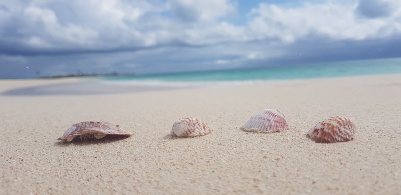 Photo 5 at Princess Diana Beach in Codrington