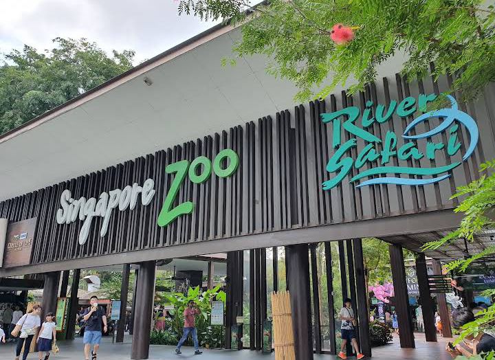 Singapore Zoo in Singapore