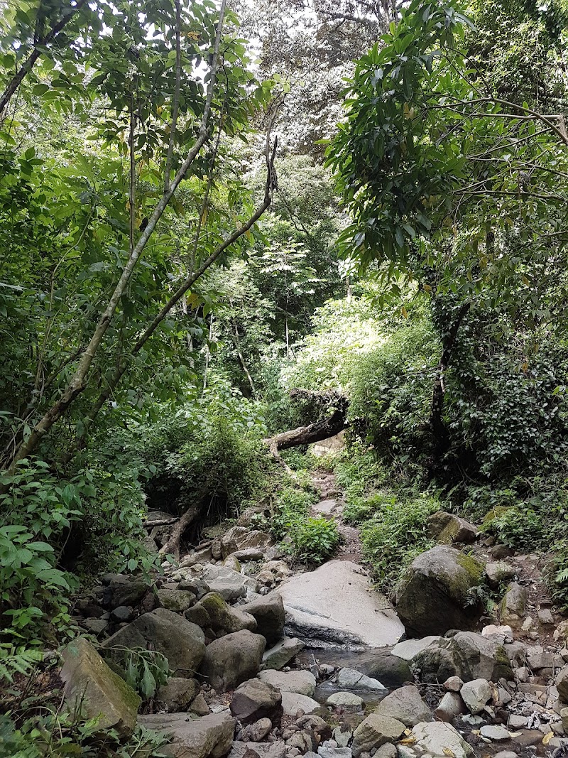 Photo 2 at Cascada de San Ramón in Las Cuchillas
