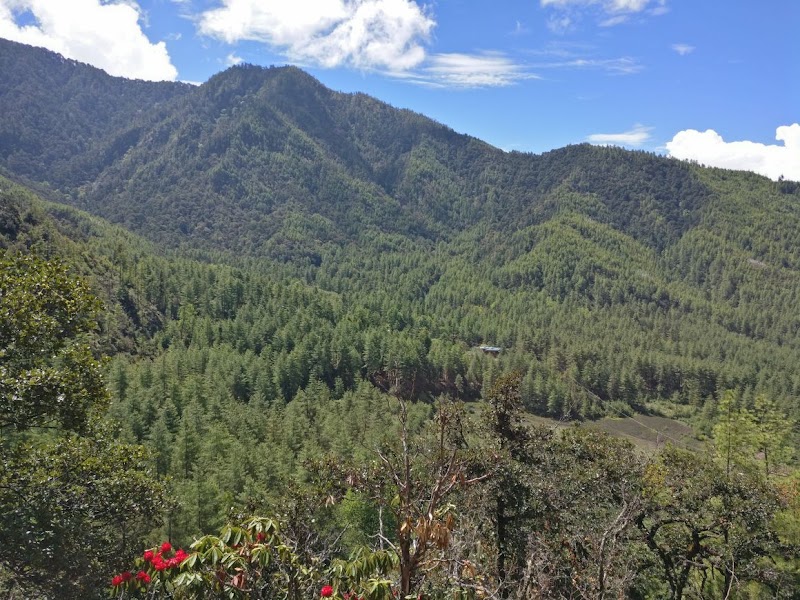 Jigme Singye Wangchuck National Park in 