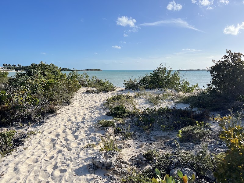 Photo 2 at Hidden Beach, Turtle Tail in 