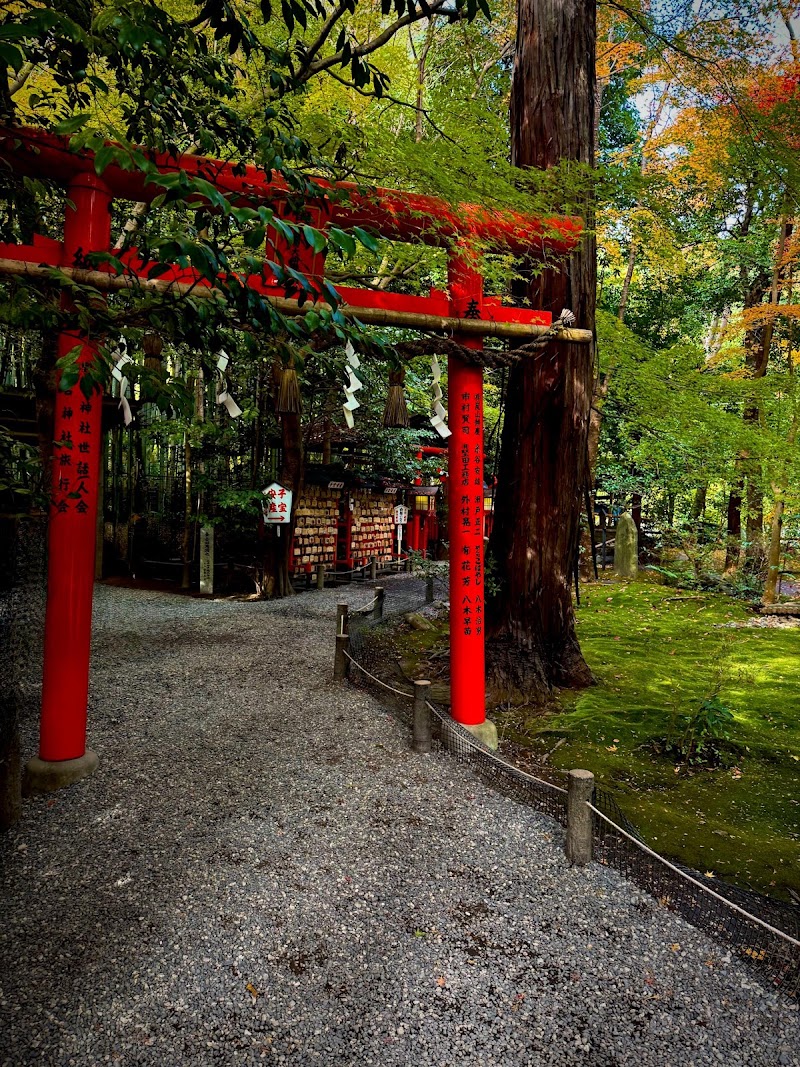 Photo 2 at Arashiyama Bamboo Forest in Kyoto