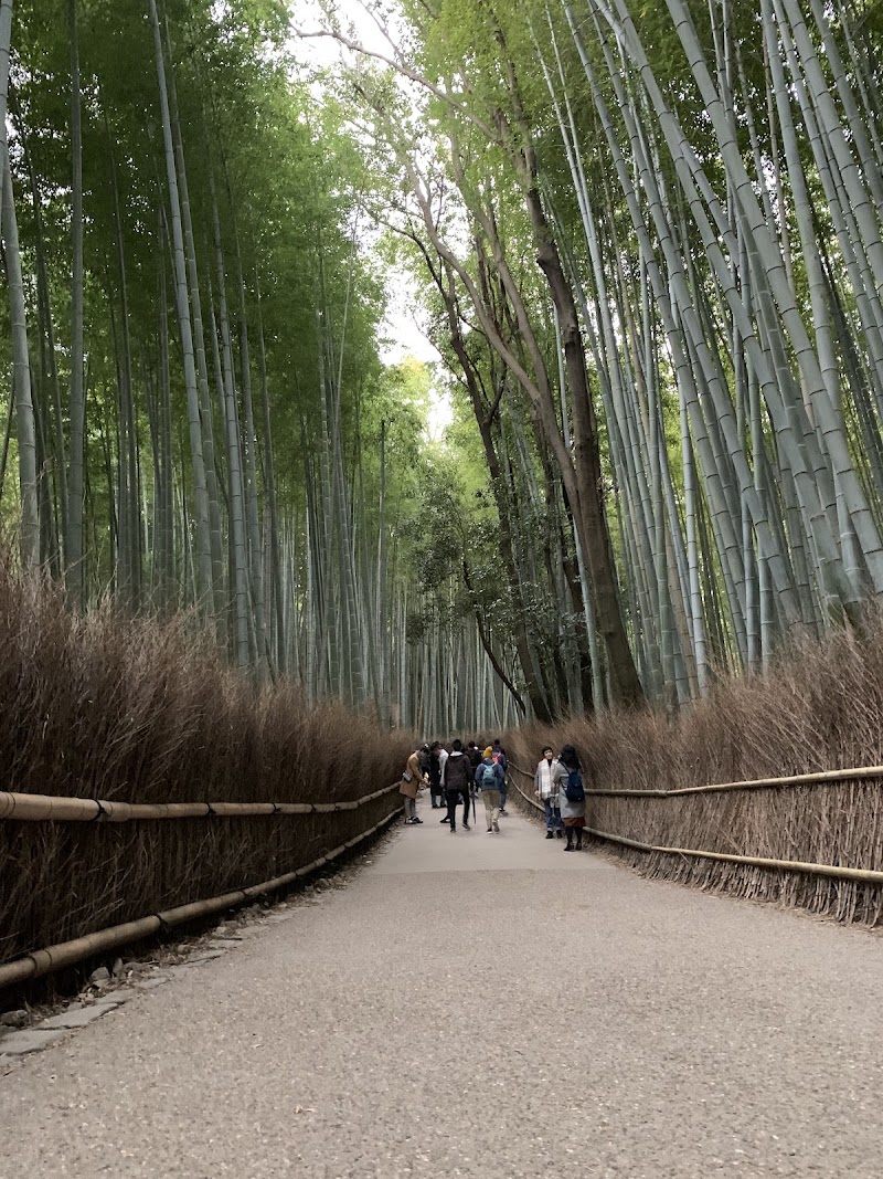 Photo 5 at Arashiyama Bamboo Forest in Kyoto