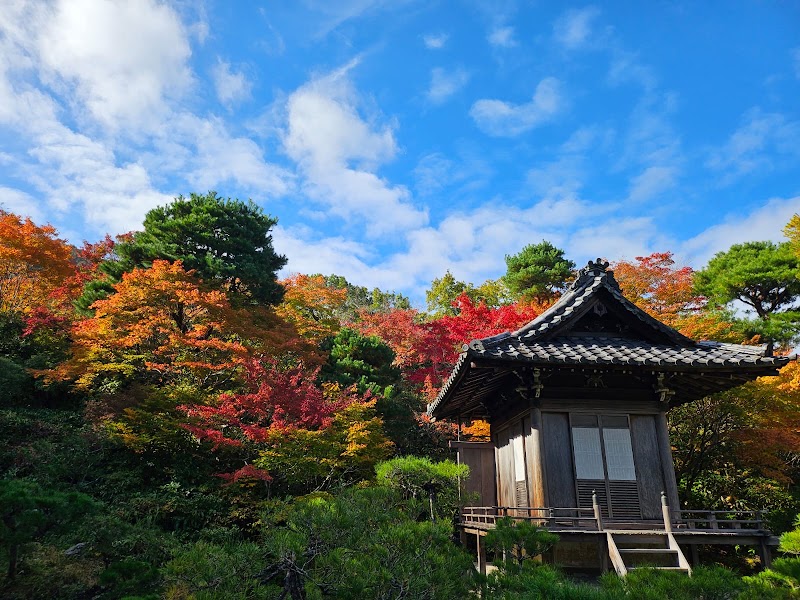 Photo 4 at Arashiyama Bamboo Forest in Kyoto