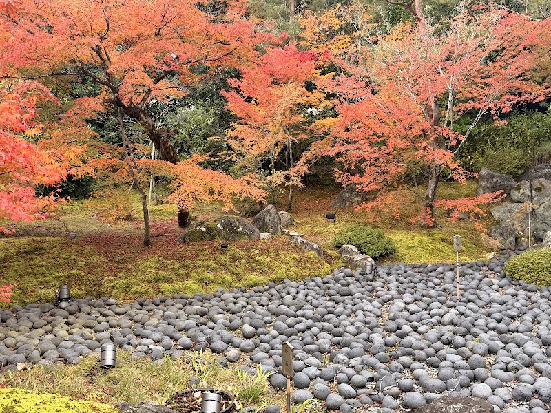Photo 3 at Arashiyama Bamboo Forest in Kyoto