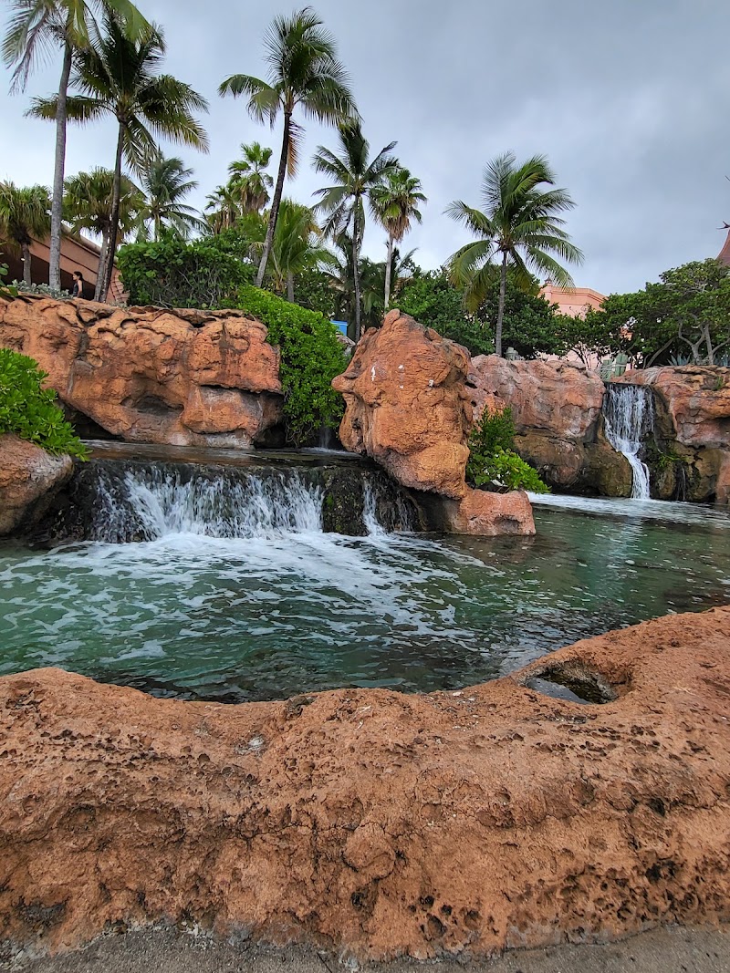 Photo 2 at Marine Habitat At Atlantis in Paradise Island