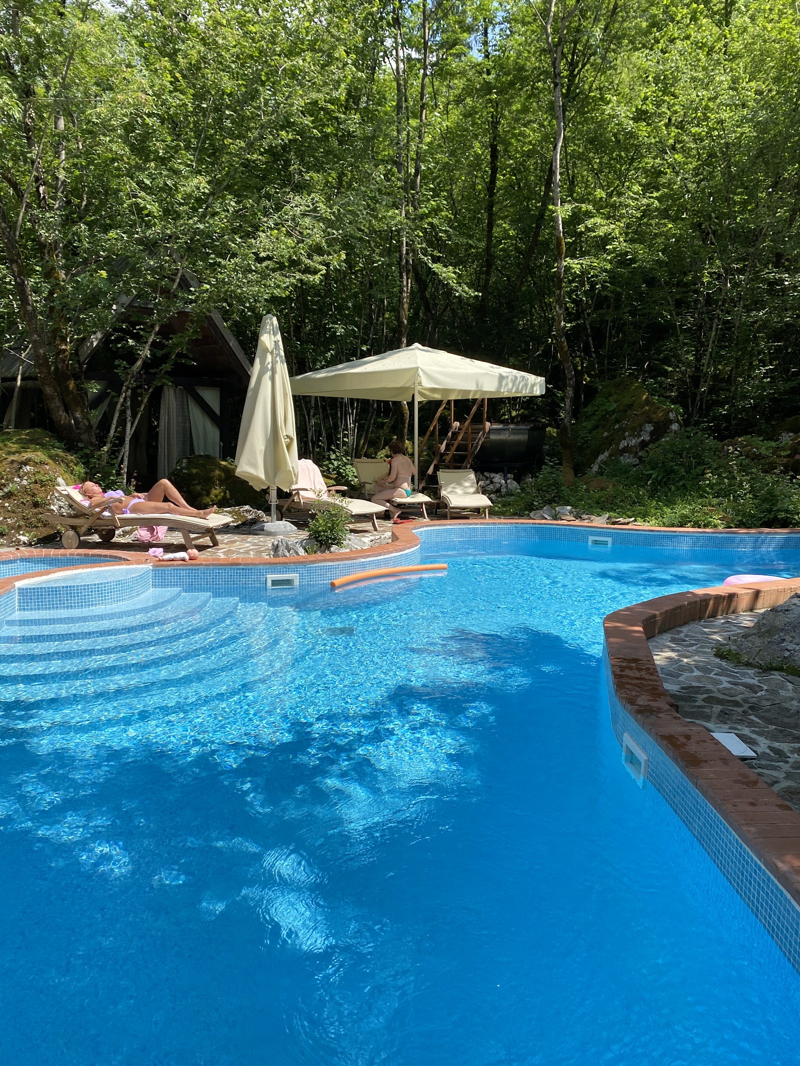 Pristava Lepena in Soča