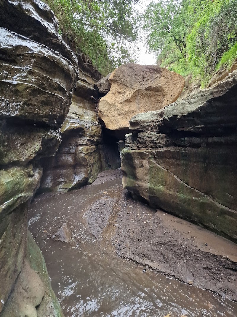 Photo 6 at Hells Gate National Park in 